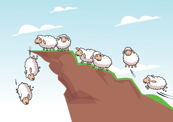 The Folly of Herd Mentality